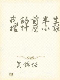 我的前半生是根据什么小说改编的