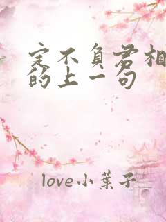 定不负君相思意的上一句