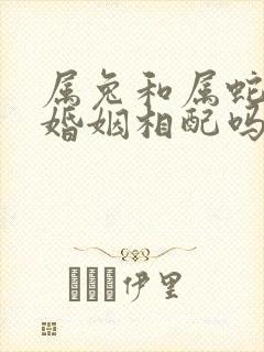 属兔和属蛇女的婚姻相配吗