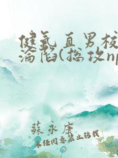 健气直男校草的沦陷(总攻np