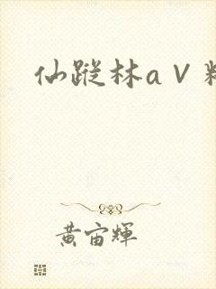 仙踪林a∨精品