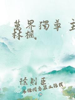 万界独尊 主角林枫