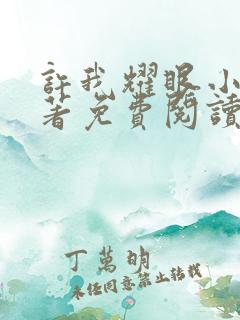 许我耀眼小说原著免费阅读