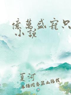 亿万盛宠只为你 小说