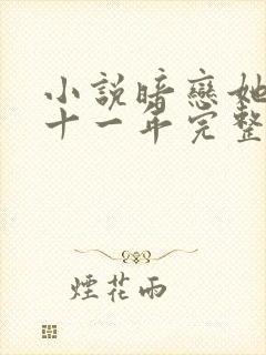 小说暗恋她的第十一年完整版