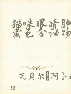 猫咪眼睛肿了有黄色分泌物