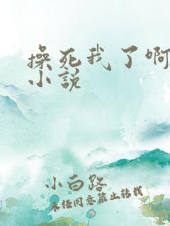 操死我了啊啊啊小说