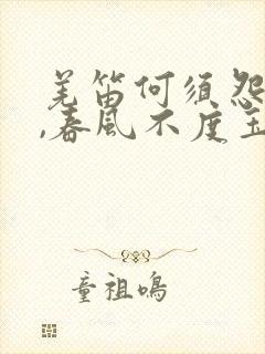 羌笛何须怨杨柳,春风不度玉门关的意思