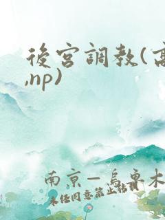 后宫调教(高h,np)