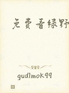 免费看绿野仙踪