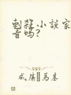 刺杀小说家2好看吗?