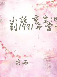 小说 重生:回到1991年当首富