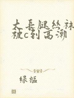 大长腿丝袜美女被c到高潮