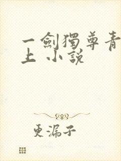 一剑独尊青鸾峰上 小说
