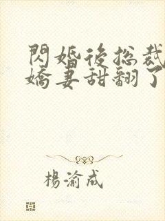 闪婚后总裁农村娇妻甜翻了