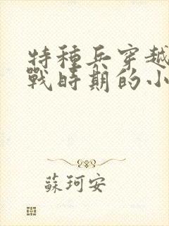 特种兵穿越到抗战时期的小说