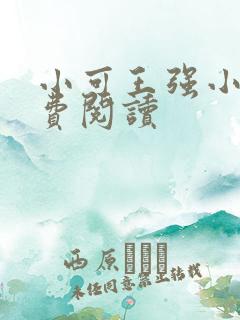 小可王强小说免费阅读