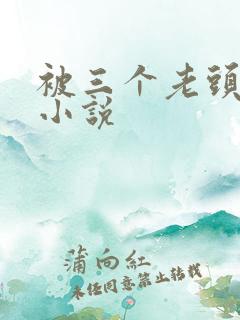 被三个老头调教小说