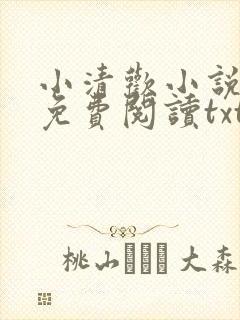 小清欢小说全文免费阅读txt