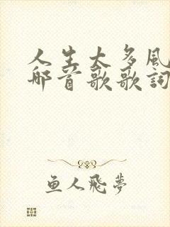 人生太多风雨是哪首歌歌词