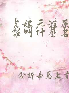 月娘元淮原著小说叫什么名字