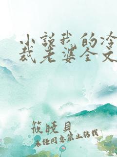 小说我的冷艳总裁老婆全文阅读