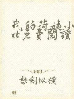 我的荷姨小说txt免费阅读