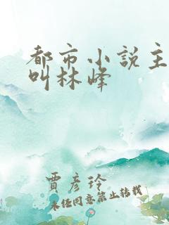 都市小说主人公叫林峰