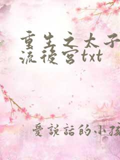 重生之太子爷风流后宫txt