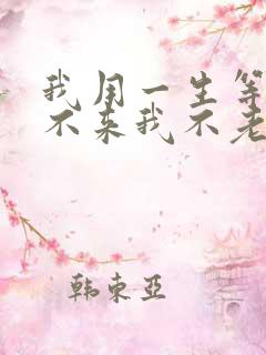 我用一生等你你不来我不老是什么歌