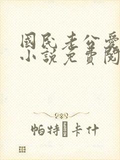 国民老公爱上我小说免费阅读