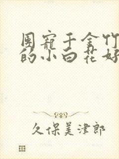 团宠千金竹马们的小白花好娇呀小说免费阅读