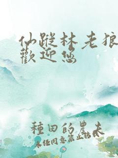 仙踪林老狼网址欢迎您