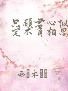 只愿君心似我心定不负相思意什么意思