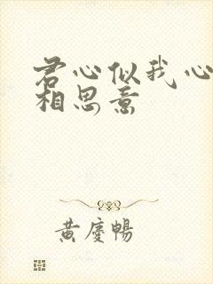 君心似我心不负相思意