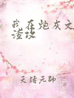 我在炮灰文里当渣攻