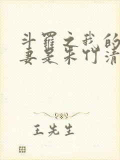 斗罗之我的未婚妻是朱竹清 马特3