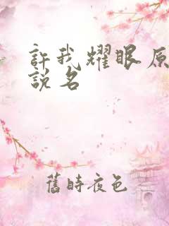 许我耀眼原著小说名