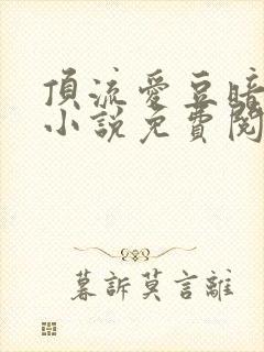 顶流爱豆暗恋我小说免费阅读