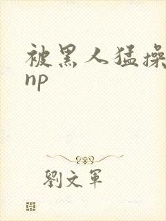 被黑人猛操高潮np