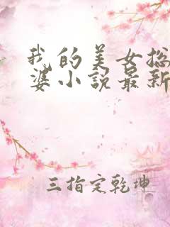 我的美女总裁老婆小说最新章节阅