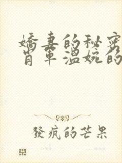 娇妻的秘密白柔肖军温婉的小说免费阅读