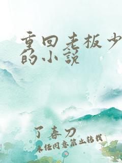 重回老板少年时的小说