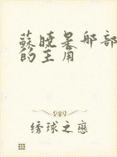 苏晓是哪部小说的主角