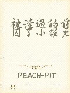 被渣过的前男友囚了小说免费阅读