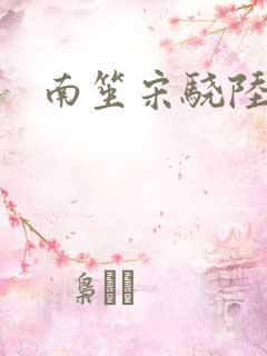 南笙宋骁陆时宴