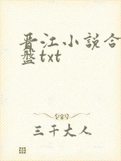 晋江小说合集网盘txt