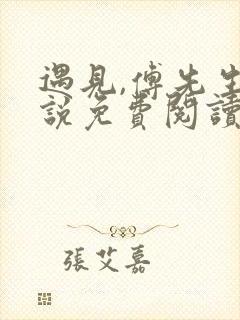 遇见,傅先生小说免费阅读