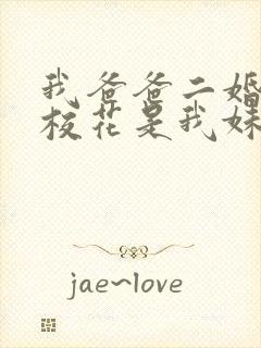 我爸爸二婚高冷校花是我妹