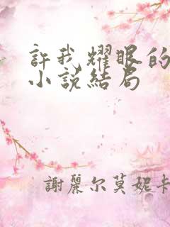 许我耀眼的原著小说结局